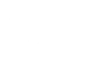 Logo Portal Media white